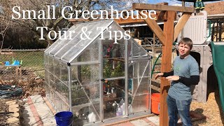 Small Greenhouse Tour amp Tips [upl. by Leandro]