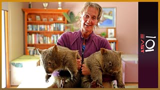 🇦🇺 The Wombat Whisperer  101 East [upl. by Ailongam]