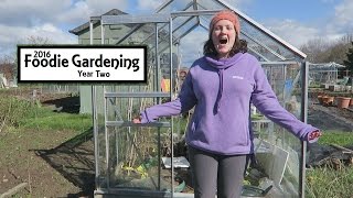 Fitting The Greenhouse Polycarbonate I Foodie Gardening Y1E14 [upl. by Elhsa478]