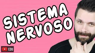 SISTEMA NERVOSO  FISIOLOGIA  Aula  Biologia com Samuel Cunha [upl. by Aikemit880]