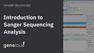 Introduction to Sanger Sequencing Analysis in Geneious Prime [upl. by Llet864]