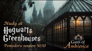 Harry Potter Ambience 📚 Rain at Hogwarts Greenhouses  3H Pomodoro 5010 [upl. by Burger]