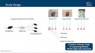 10xpert Workshop  Tumor Dissociation for Single Cell RNAseq [upl. by Nerrot]