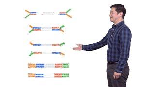 Next Generation Sequencing 2 Illumina NGS Sample Preparation  Eric Chow UCSF [upl. by Bonucci636]