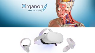 3D Organon VR Anatomy on Oculus Quest 2 [upl. by Ramirol]