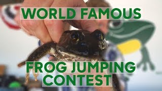 World Famous Frog Jumping Contest [upl. by Franni]