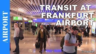 TRANSIT WALK AT FRANKFURT Airport FRA Terminal 1  Connection Flight Transfer Arriving amp Departing [upl. by Weisler]